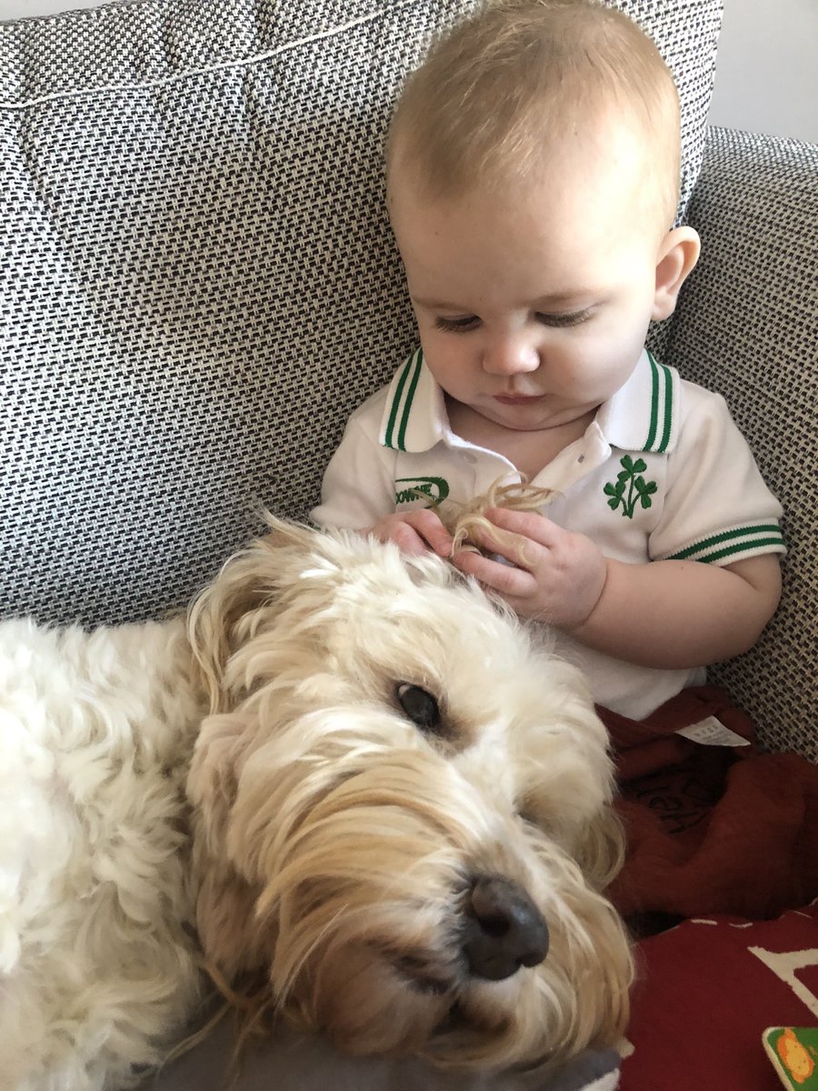 HarleyLedwidge's tweet photo. My tiny human brother is helping me relax today…sleepy time #bonding #DogsAreFamily #love 💙 https://t.co/1yYCz1awIC