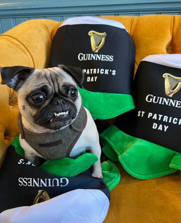 The Regent - Balham tweet media