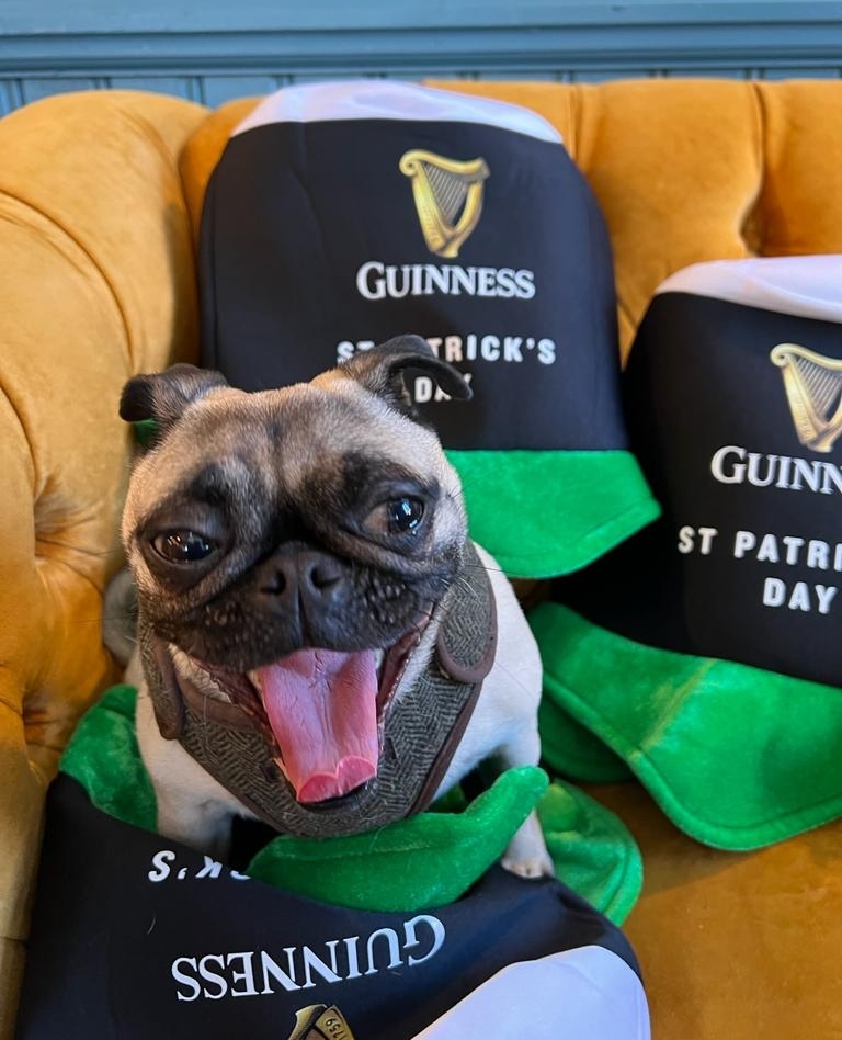 The Regent - Balham tweet media