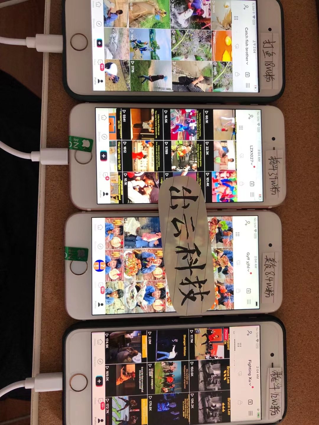 Tiktok海外抖音免费教学 Amywill Twitter