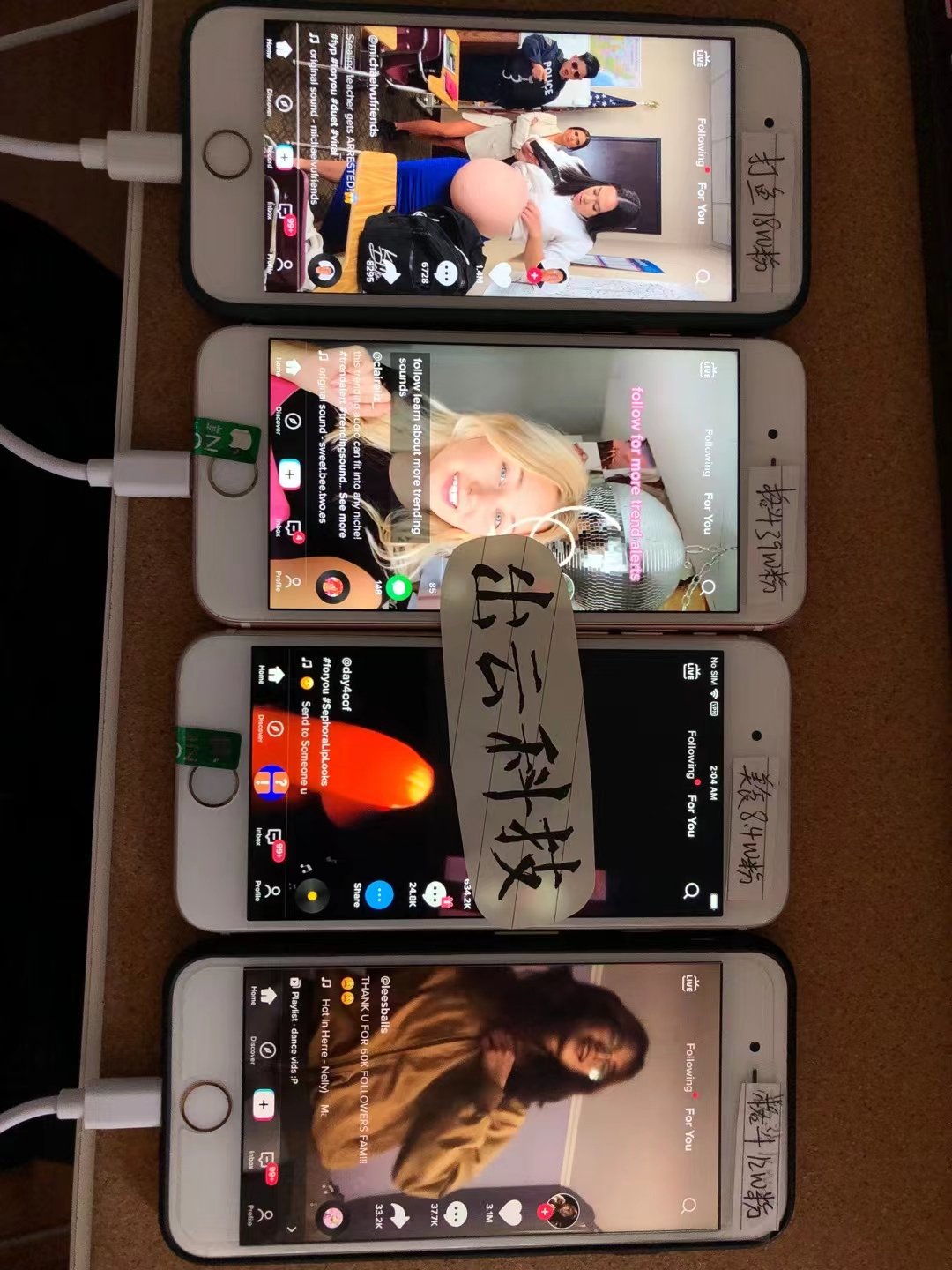 Tiktok海外抖音免费教学 Amywill Twitter