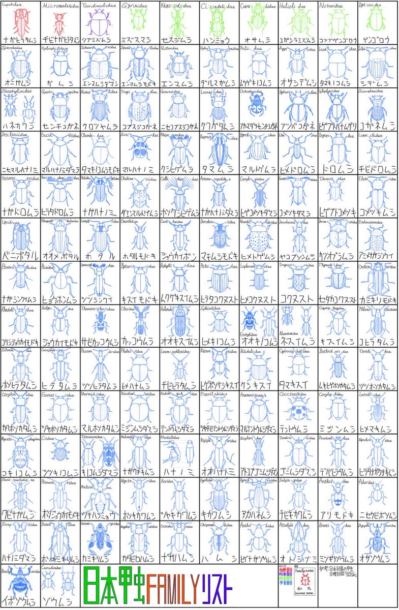 現在日本で発見されている甲虫132科の早見表を作りました(自己満)

この早見表に関しては著作権フリーなので、どこかに転載したり、書き込んだりしていただいて構いません。