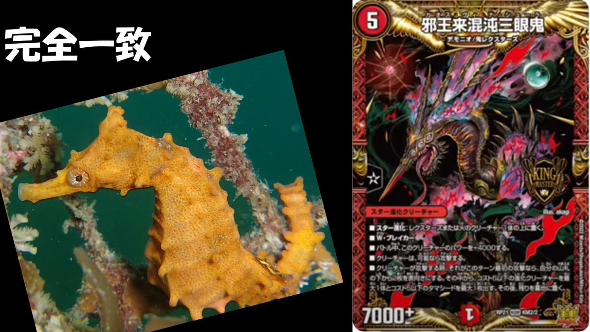 カオス ヴィナ シューラ 邪王来混沌三眼鬼Bシク 枚 カオスヴィナ 
