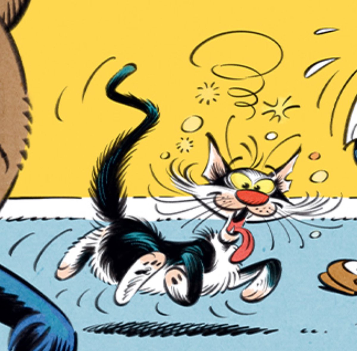 Franquin_Cie's tweet image. Le Chat Dingue de Delaf ! #gaston #lagaffe @EditionsDupuis