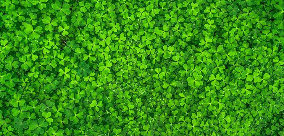 husseysbar's tweet photo. Happy St Patrick’s Day to all our friends around the world. Open today  from 12 noon. Have a great day everyone. Sláinte ☘️ 🍻 #HappyStPatricksDay https://t.co/CxrwkZReTU