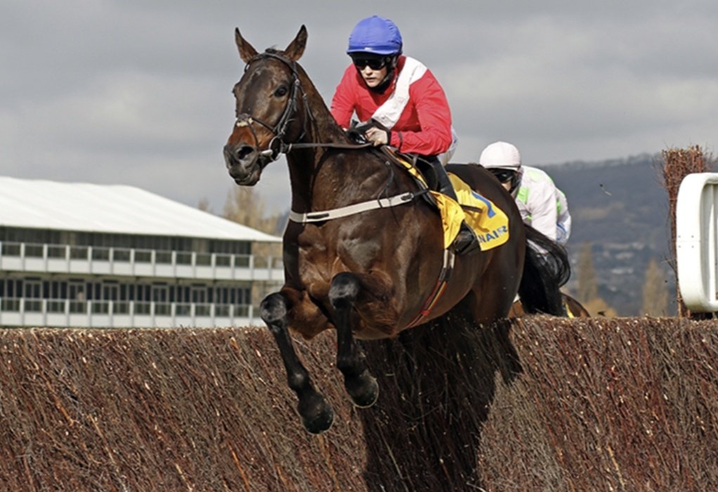 😍 If ALLAHO wins the Ryanair Chase at Cheltenham today I'll give £100 CASH 💷 to one of you lucky people!

To Enter: 👇 

1️⃣ RT this Tweet
2️⃣ Follow <a href="/racingblogger/">Stephen R Power</a> 

👉 instagram.com/racingblogger/

#Cheltenhamfestival 🏆