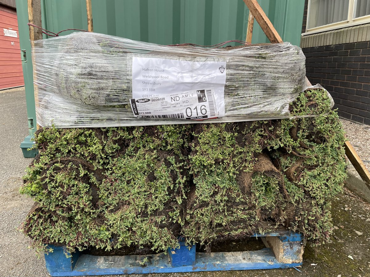 JudeWardBio's tweet photo. A big delivery of #greenroof materials arrived at our @EnvAgencyMids #shrewsbury office today as part of a #sustainability project! 🌱 https://t.co/24zjxGGpd6