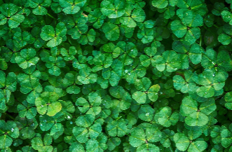 Liberty Security - A GardaWorld Company tweet media