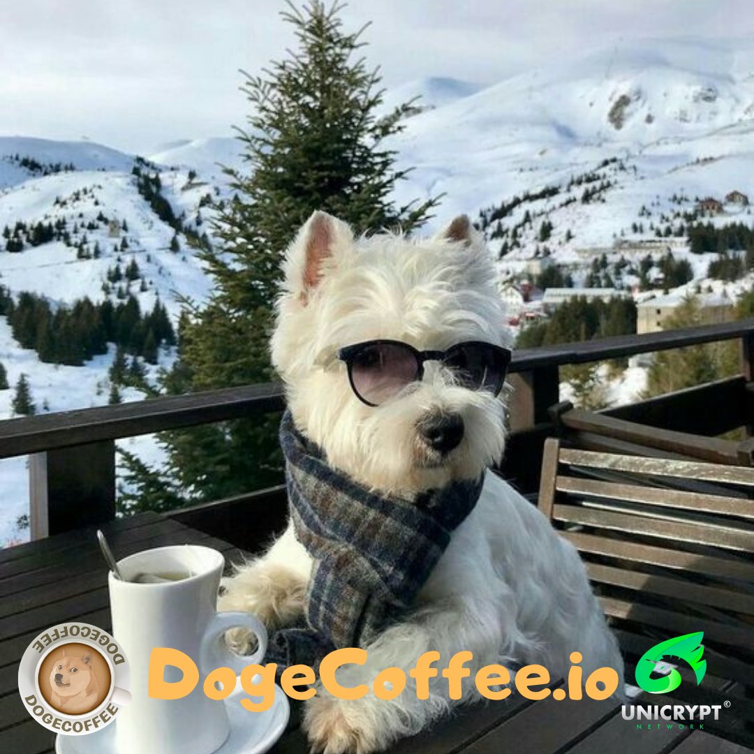 DogeCoffee_io's tweet photo. @Starbucks Do you like #DogeCoffe?

#dogecoffee #meme #dogecoin #elonmusk #coffee #starbucks #bnb #binance #HODL https://t.co/09ZszQK6Kx