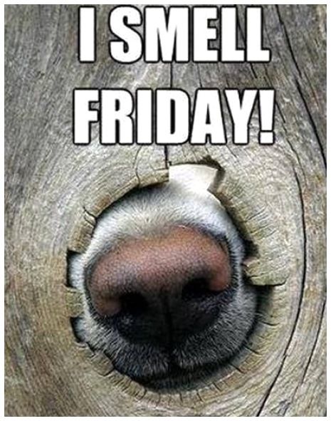 BugoutBrigade's tweet photo. TGIFE!!! HAPPY FRIDAY EVE Y'ALL!!! We be on the home stretch now, we got this. "Hercules, Hercules" #Hugs #TGIFE #rtItBot #f4f #follo4folloback #follo4follo https://t.co/KyZrWskvbq