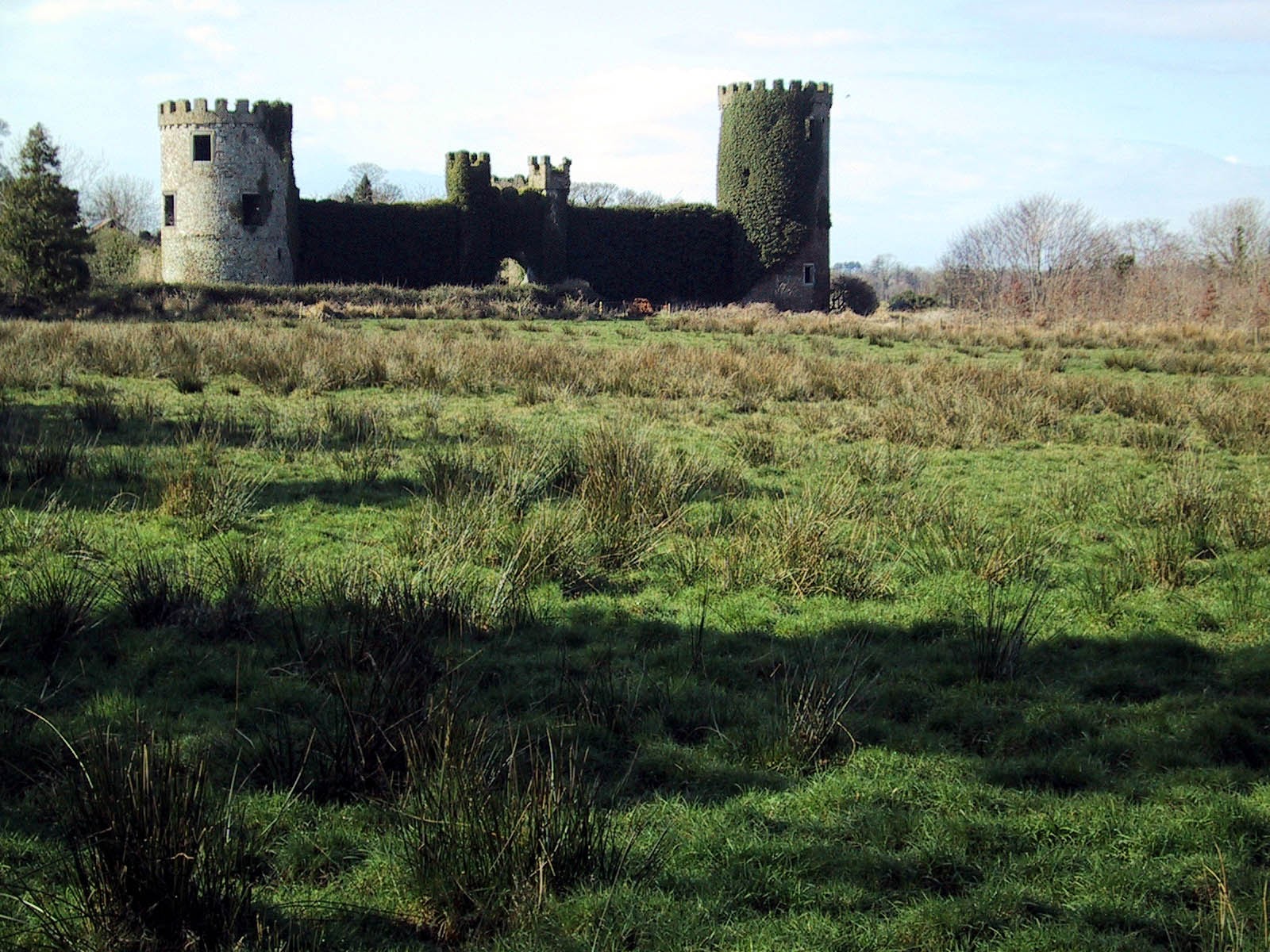 Brendan Keefe on Twitter "Happy St. Patrick's Day from Dromagh Castle