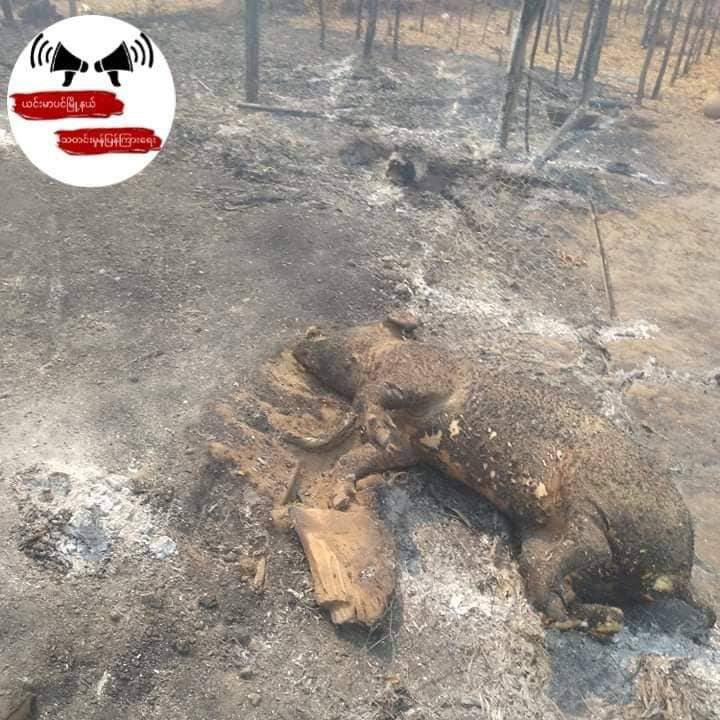 Su10232799's tweet photo. Junta troops set an arson to 14 houses in Htan Zin Village in Yinmarbin Township, Sagaing Region. They stole valuables and cash from houses. #WhatsHappeningInMyanmar #2022Mar17Coup https://t.co/QLhvbnKPXc