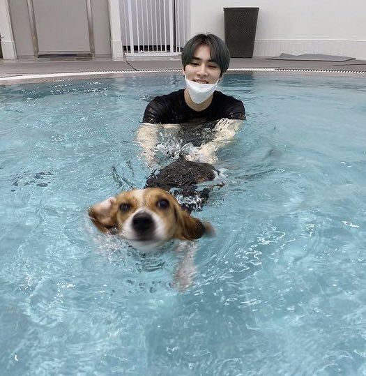 ciuzeon's tweet photo. xiaojun ig posts 📸💛

as a mother                      as an uncle https://t.co/3tGIhrUaYr