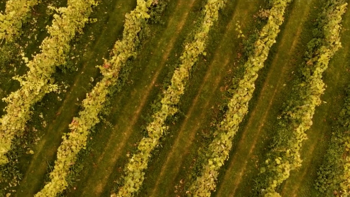 Catch_Creative's tweet image. Happy #StPatricksDay from all of us here at Catch Creative! Stay green! 🍀🇮🇪☘️