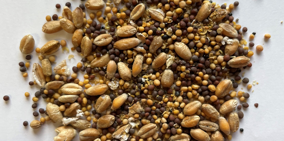 Allergenen tweet media