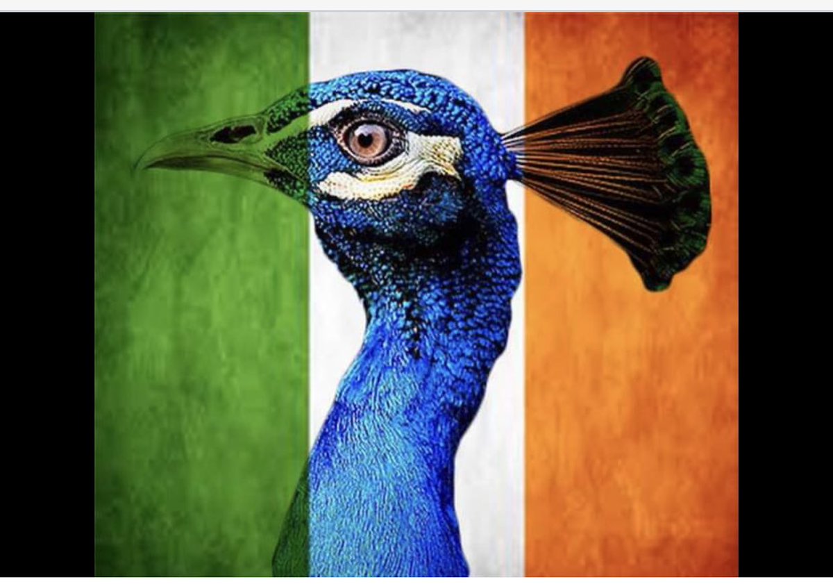 Harrybrooke Park tweet media