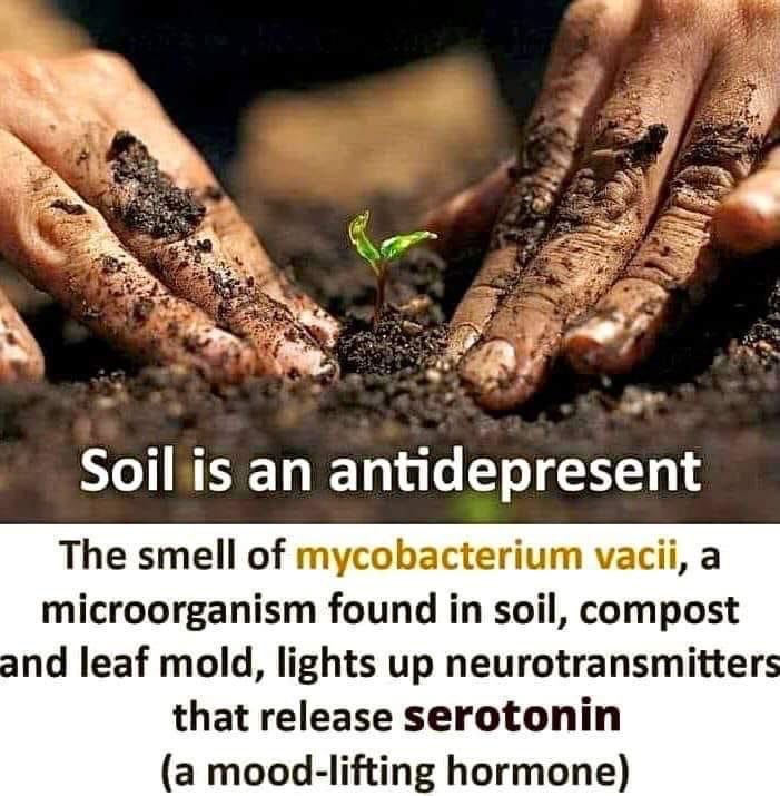 A whole lot of earth 🌍 = a whole lot of 💞 #SaveSoil