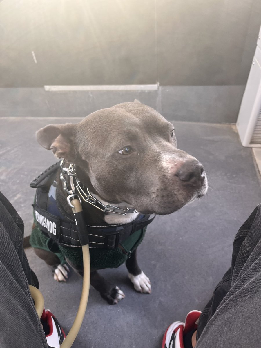 Laurier Dogs tweet media