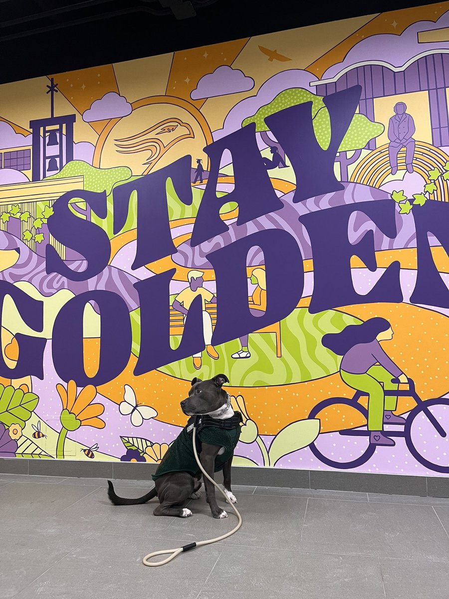 Laurier Dogs tweet media