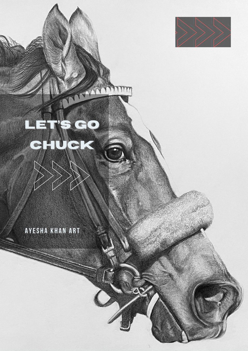 AyeshaKhanArt's tweet photo. Wish you much luck in the coming Dubai World Cup  Hot Rod Charlie.
#Letsgochuck 
#boatracingllc 
Graphite artwork on ultra smooth acid free Bristol paper. 
Size A3
Reference photo by #garytasich https://t.co/yK2HvjSADh