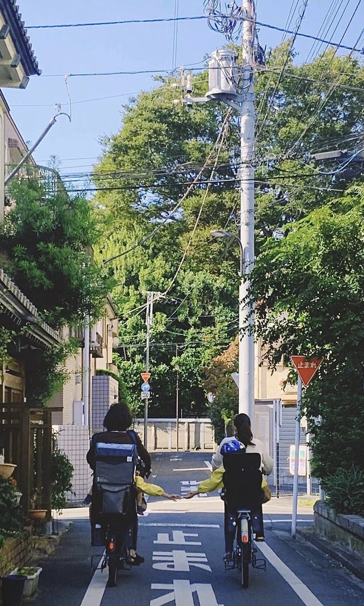 bearkumano's tweet image. 整个幼稚园期间拍过最喜欢的一张照片。

两个妈妈一边骑车一边聊天，车后座坐的是一个男孩和一个女孩❤