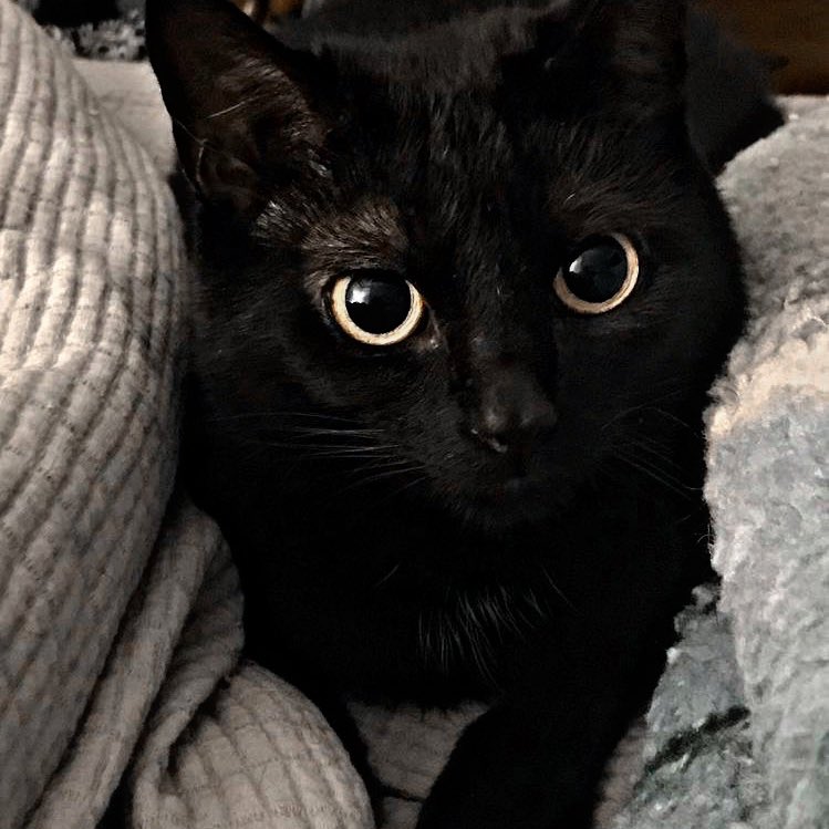 ᅠᅠ
ᅠ
ᅠ
ᅠᅠ         𝓶𝘺 𝘧𝘢𝘷𝘰𝘳𝘪𝘵𝘦 𝘬𝘪𝘯𝘥 𝘰𝘧 𝒎𝒐𝒎𝒆𝒏𝒕𝒔.
ᅠ
ᅠ
ᅠᅠ