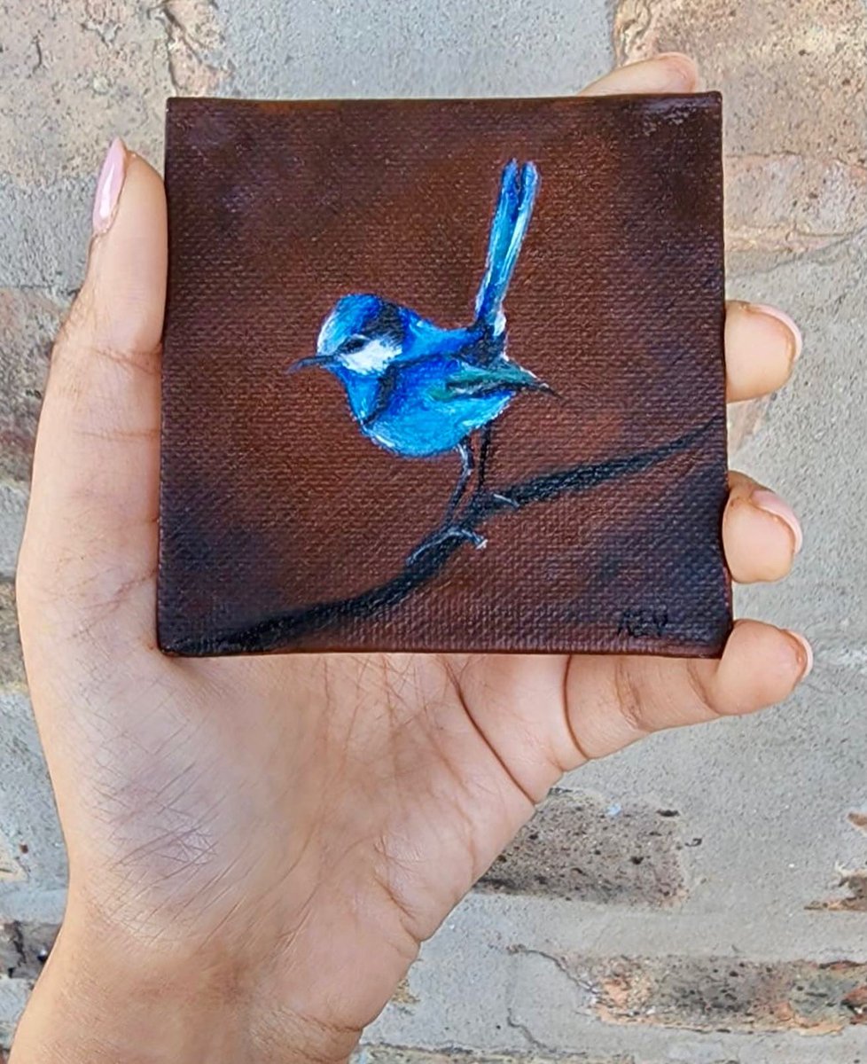 ‘Splendid Fairy Wren Bird’
Oil painting on canvas panel 
3inch x 3inch

#art #painting #birds #birdpainting #ArtistOnTwitter #oilpainting