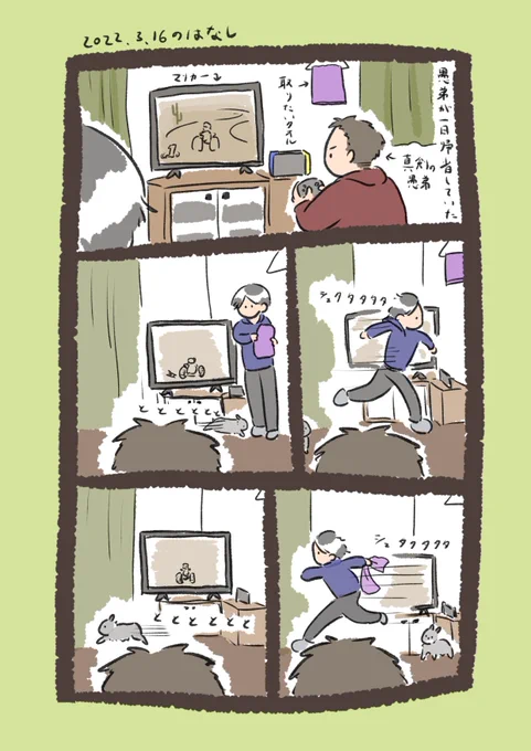 昨日の追加です
#うさぎのいる生活 