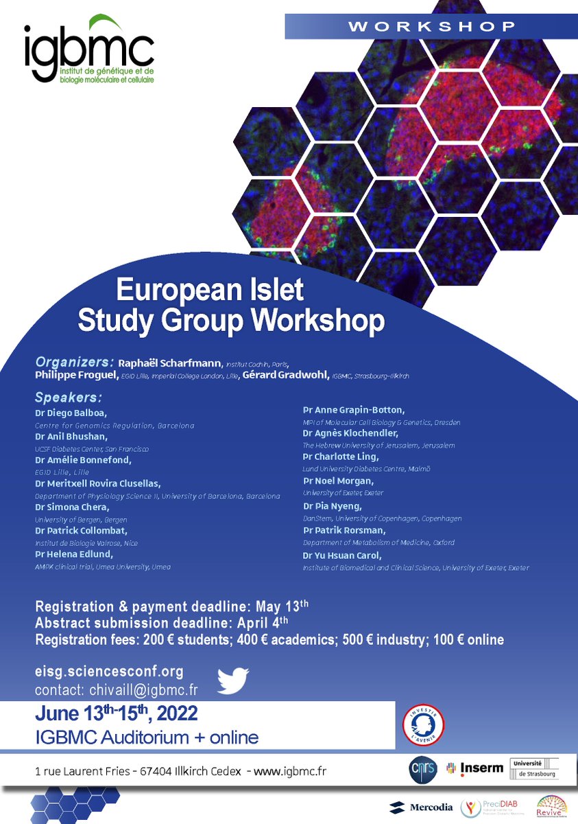 📅Next 13 - 15 June, the <a href="/EISG_2022/">European Islet Study Group Workshop 2022/06/13-15</a> workshop will be held <a href="/IGBMC/">IGBMC</a> both in person and online. Topics will include #diabetes, #betacell and #isletcell.

Organized by @Gradwohl_Gerard, <a href="/R_Scharfmann/">scharfmann raphael</a>, <a href="/philippefroguel/">Philippe Froguel</a>.

To register: eisg.sciencesconf.org

Check our poster 👇