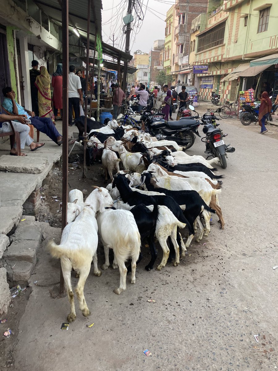 Dr RA Zabanwala tweet media