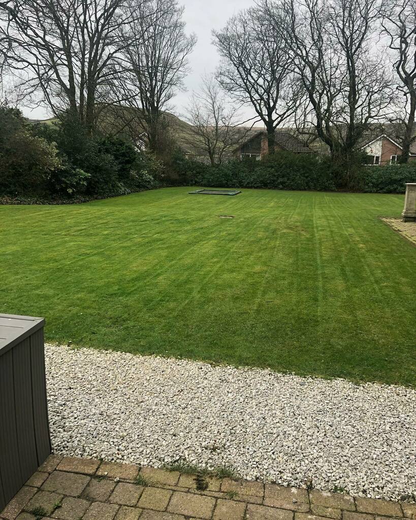 TLCBury's tweet photo. Customers lawn that’s had treatments for 18 months #callforaquote #tlc #tlcbury #totallawncarebury #lawntreatments #lawntreatmentsbury #lawnmowing #lawnmowimgbury #mowing #mowingbury #gardenclearance #gardenclearancebury #lawnmaintenance #lawnmaintenance… https://t.co/RcbMolZoKH https://t.co/Es2wSTT8CB