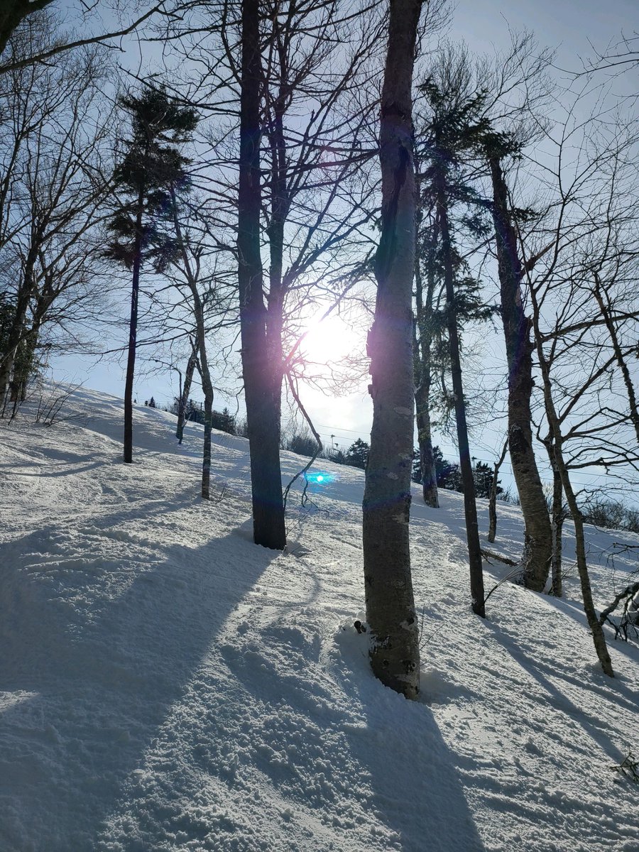 skiwithkevin's tweet photo. Last run of the day @KillingtonMtn
#springskiing #treerun #glades https://t.co/zUYj8Gpkj6