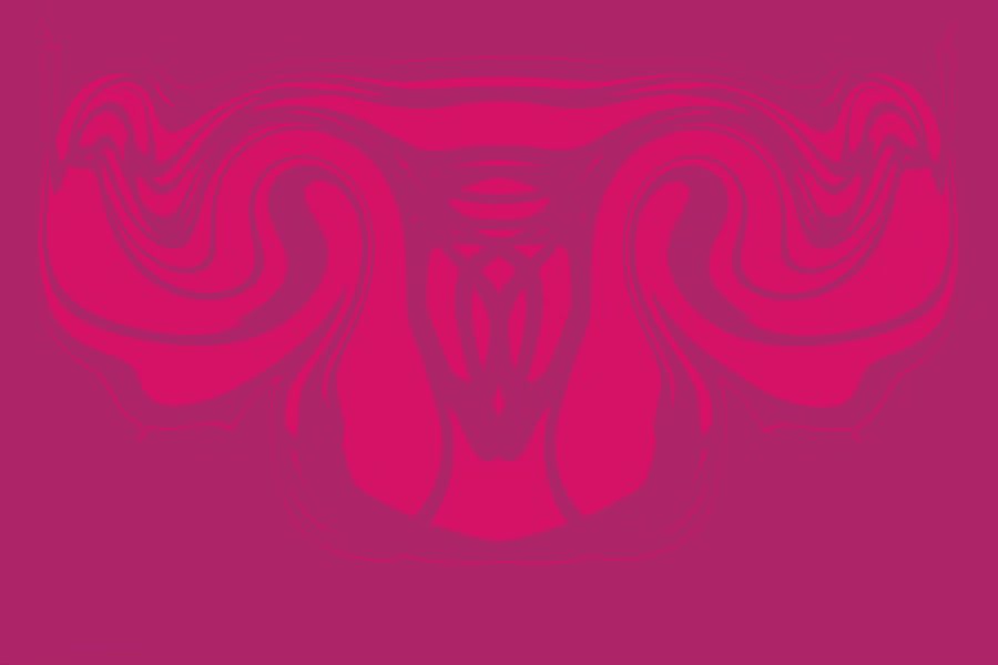 Phoenix_phia tweet media