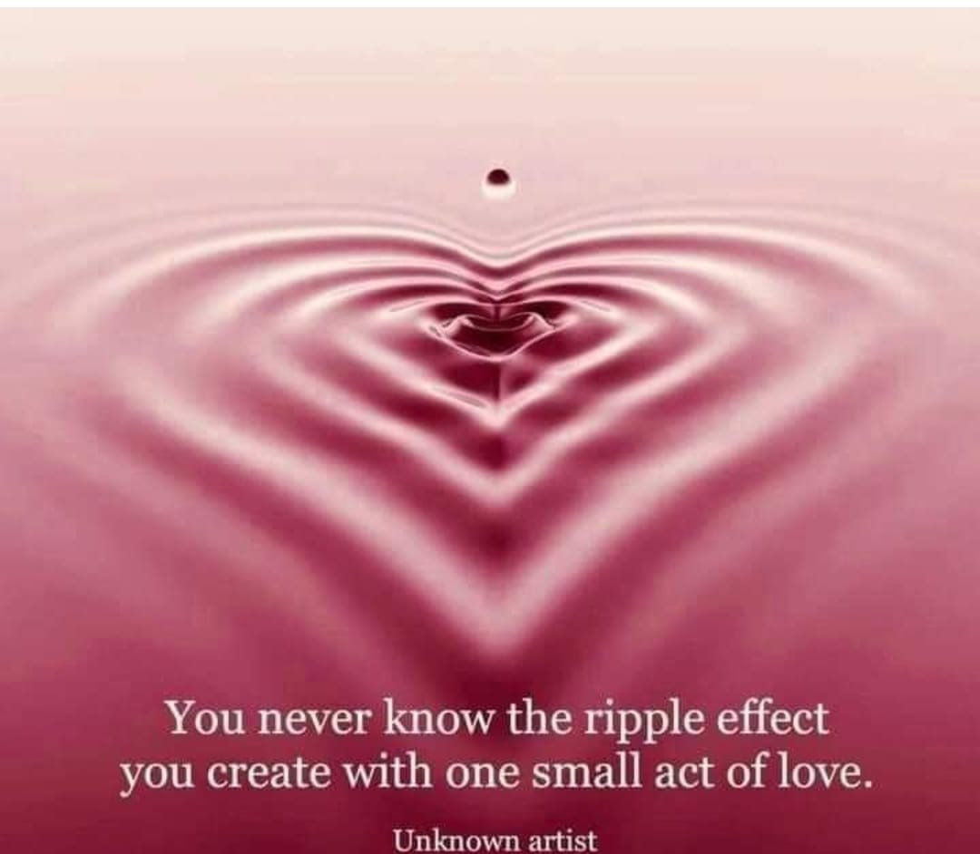 Enlightenedkf's tweet photo. https://t.co/SRapvDLrVK