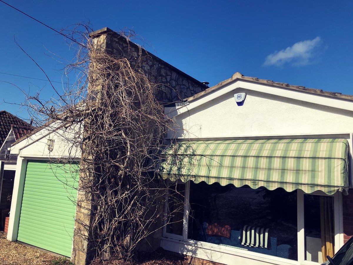 Caro1ine_Martin's tweet photo. The awning is down and I’m now considering keeping it and getting it recovered!? When do we think this dates from? Is it original to the house build in 1965? #awnings #60sdesign #70sdecor #60sdecor #60sarchitecture #70sarchitecture #sunawnings #60sbungalow #1965 #60shome https://t.co/NZ1PoXNDKT
