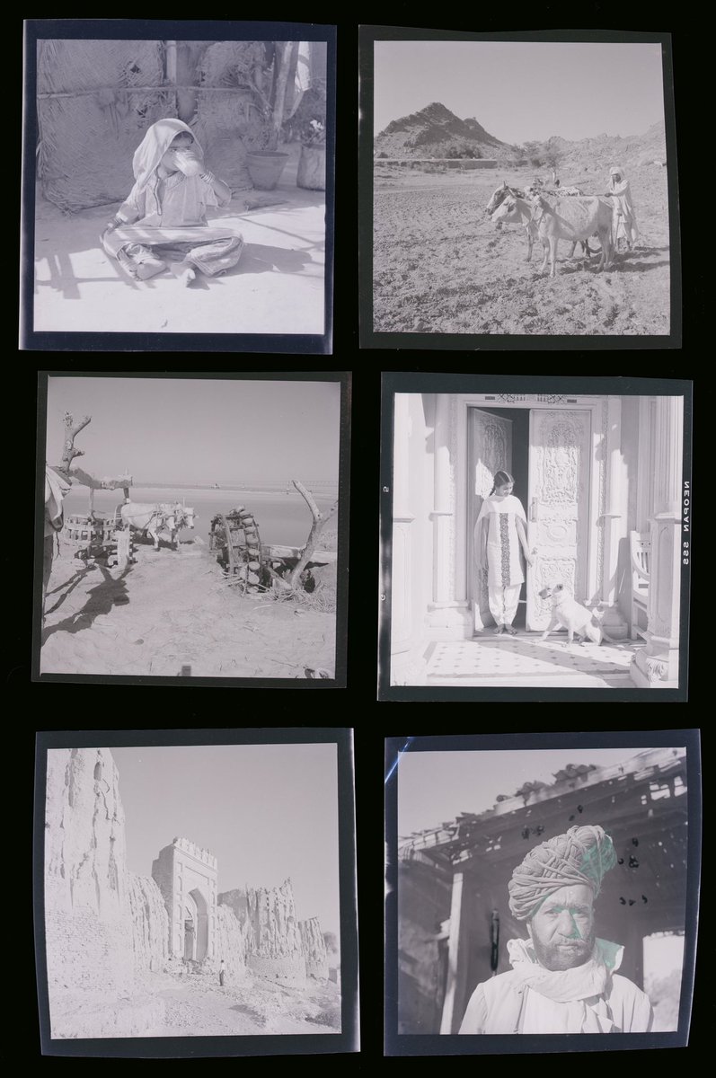 Master Archives tweet media