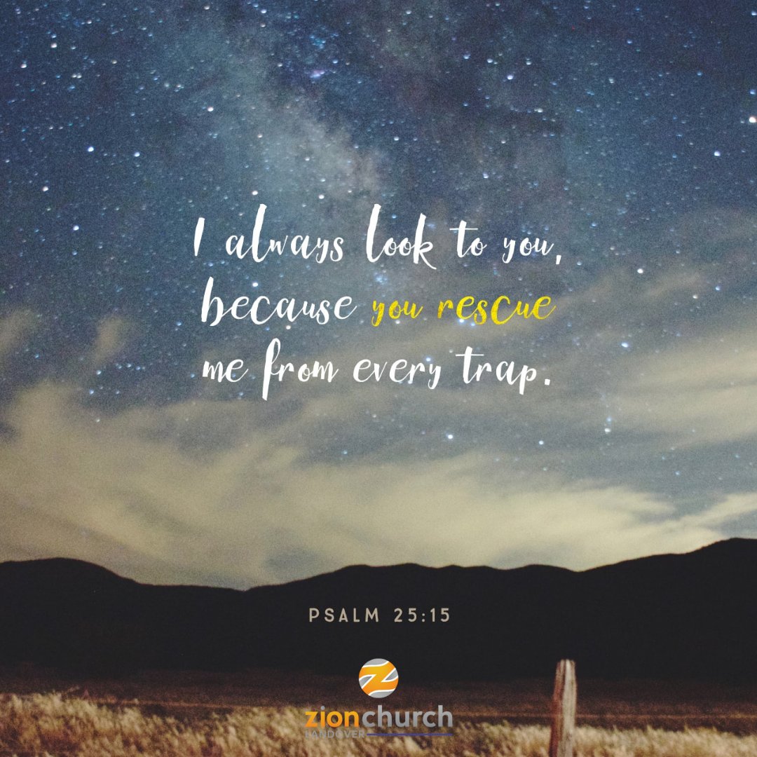 Dear Lord, my eyes are ever toward You, for only You will rescue me from every trap.  Amen.

Look to Jesus today.