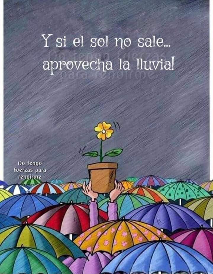 GLUECUADOR's tweet photo. https://t.co/KsAbLb9kwE