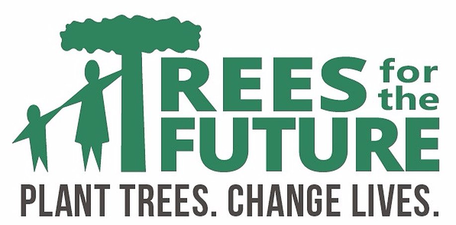 kamagoTreeWorld's tweet photo. Thank you to @Treesftf, our collaborator, for trusting us and helping us to establish ourselves in an ecological approach 🌳💚

We will do great things together ! 

#GreenChipNFT #KamagoTree https://t.co/YFIG5W0gBx