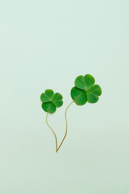 May your day be touched by some Irish luck! The Affinity Strategies team wishes you a happy #StPatricksDay!
