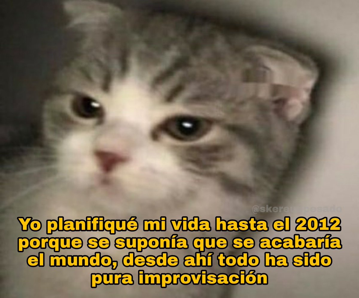 skereunpesado's tweet photo. https://t.co/nlf8VMYOfH