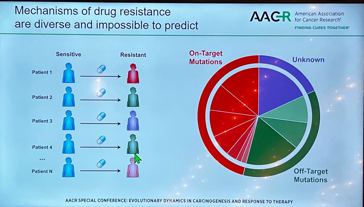 Sandy Anderson tweet media