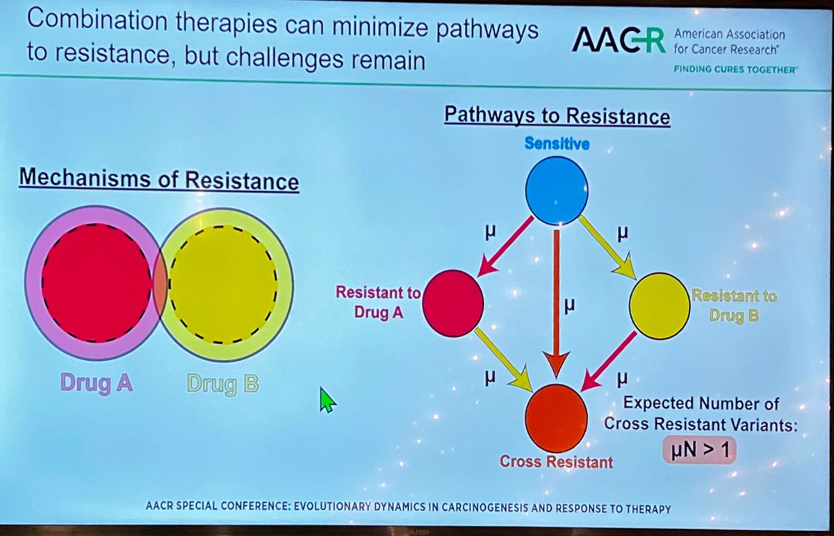 Sandy Anderson tweet media
