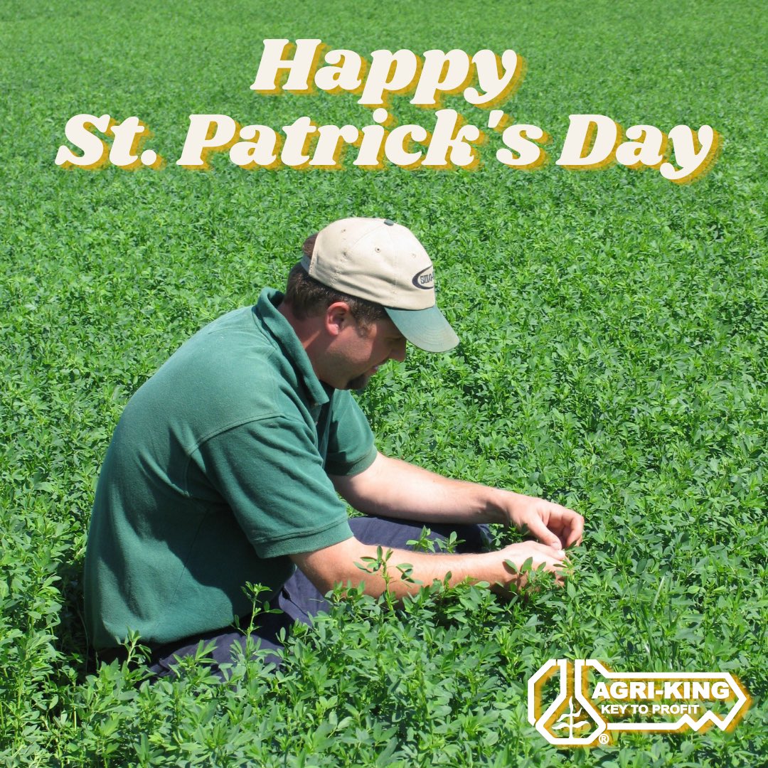 AgriKingInc's tweet image. Looking for your four leaf clover in an alfalfa field? May the luck of the Irish be with you! #HappyStPatricksDay #LuckOfTheIrish