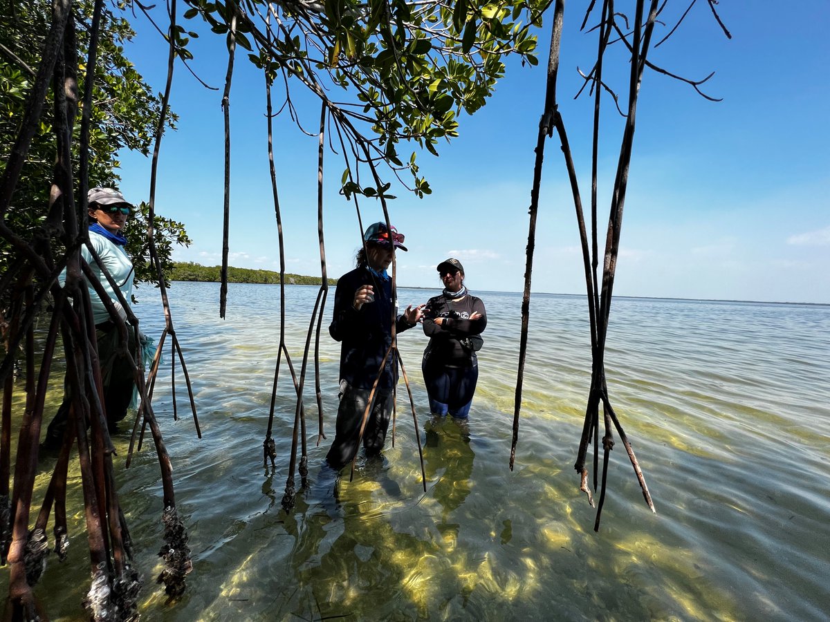 Happy #FLArchaeologyMonth! Staff at Charlotte Harbor Aquatic Preserves recently wrapped up the archaeological monitoring season with the help of the <a href="/FPANSouthwest/">FPAN Southwest</a>. #RCPatDEP (1/2)