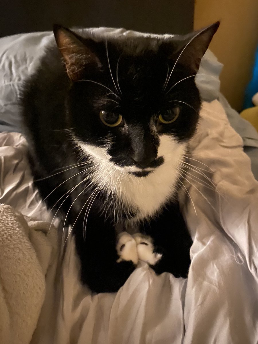 why he sitting like that