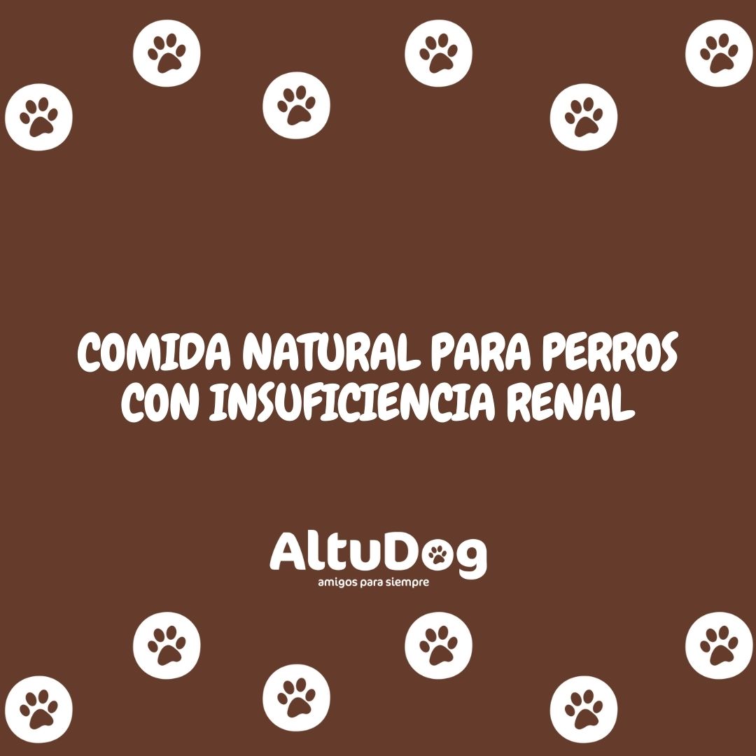 Altudog's tweet image. La insuficiencia renal es la incapacidad de los riñones para eliminar las toxinas y productos de desecho del cuerpo. 
.
Esta enfermedad suele ser frecuente en los perros de edad avanzada, aunque también puede aparecer en perros jóvenes, y puede ir asociada a otras enfermedades.