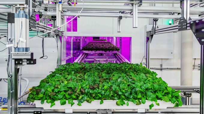 drivecapital's tweet photo. Salads farmed by @eatfifthseason robots are now available at all Columbus Krogers locations. https://t.co/DjbTdowEZo