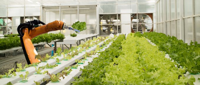 drivecapital's tweet photo. Salads farmed by @eatfifthseason robots are now available at all Columbus Krogers locations. https://t.co/DjbTdowEZo