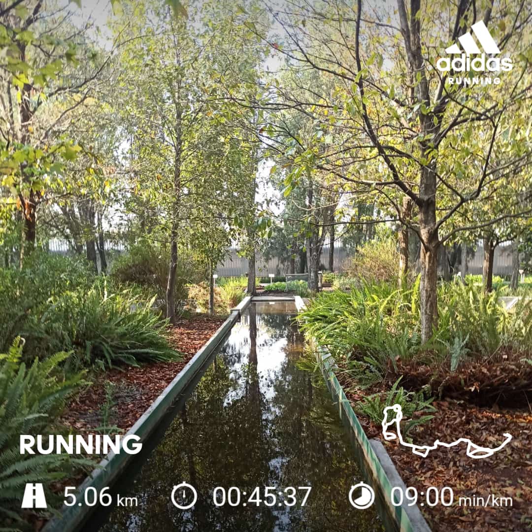 pachonf5316's tweet photo. #yoelegicorrer #runner https://t.co/VMAqzw1j7p